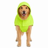 Canes Venatici Raincoat - Neon Green
