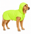 Canes Venatici Raincoat - Neon Green
