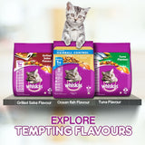 Whiskas Support Hairball Control Chicken & Tuna Flavour Adult Cat Dry Food