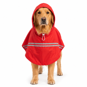 Canes Venatici New Raincoat (colors may vary)