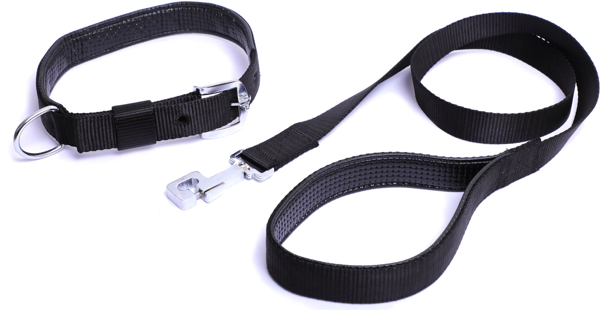 Kennel Foam Padded Nylon Collar Set & Leash (1 1/4")