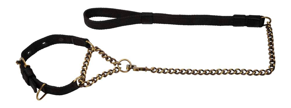Kennel Premium Nylon Brass Chain Martingale Set No.1(4 mm)
