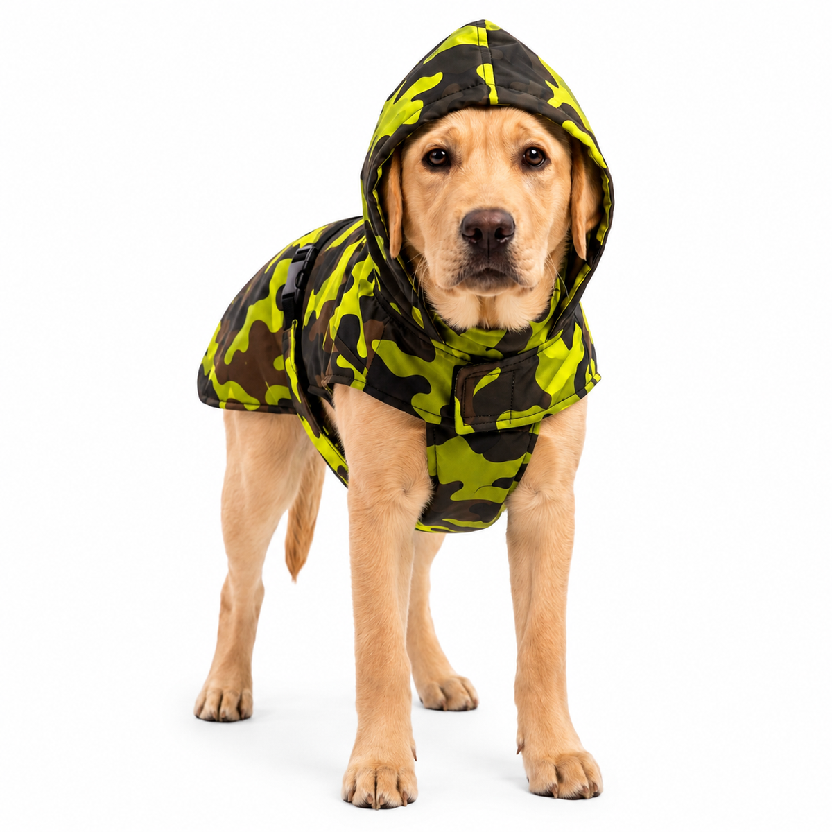 Kennel Printed Color Raincoat - Yellow