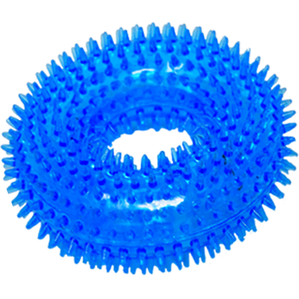 Smarty Pet Durable Spiky Squeaky Ring Chew Toy For Dog