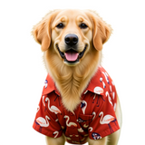 Canes Venatici Dog Shirt