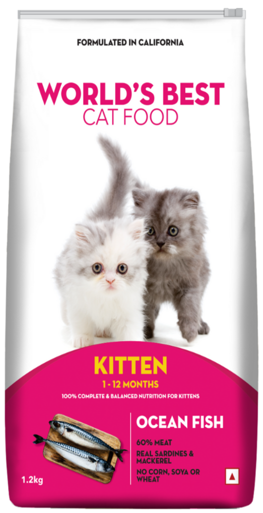 Best fish cat food best sale