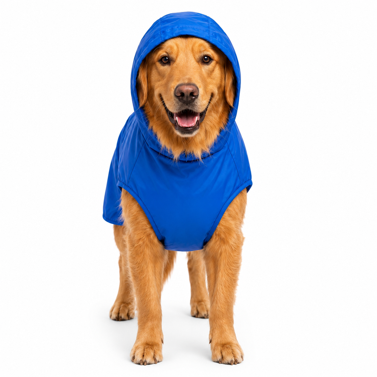 Kennel Plain Color Raincoat