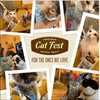 Cat Fest Farm Fresh Pillows with Salmon Creme Natural Cat Treats