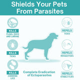 Veko Radicate Spot-On Solution for Dogs (5–10 kg)