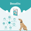 Veko Radicate Spot-On Solution for Dogs (5–10 kg)