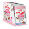 Royal Canin Kitten Jelly Gelatina Gele Pouch