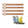 Vitapol Economic Budgie Food