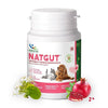 Natural Remedies : Natgut Digestive Health Supplement Tablets for Dogs & Cats