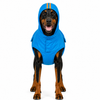 Canes Venatici Raincoat - Cyan