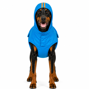 Canes Venatici Raincoat - Cyan