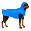 Canes Venatici Raincoat - Cyan