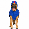Canes Venatici Raincoat - Blue