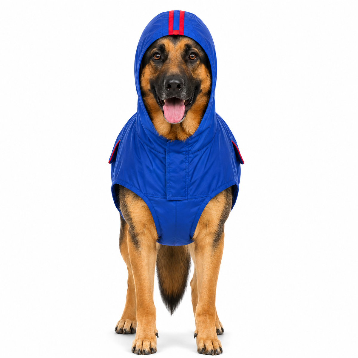 Canes Venatici Raincoat - Blue