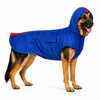 Canes Venatici Raincoat - Blue