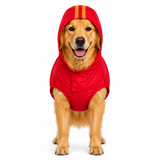Canes Venatici Raincoat - Red