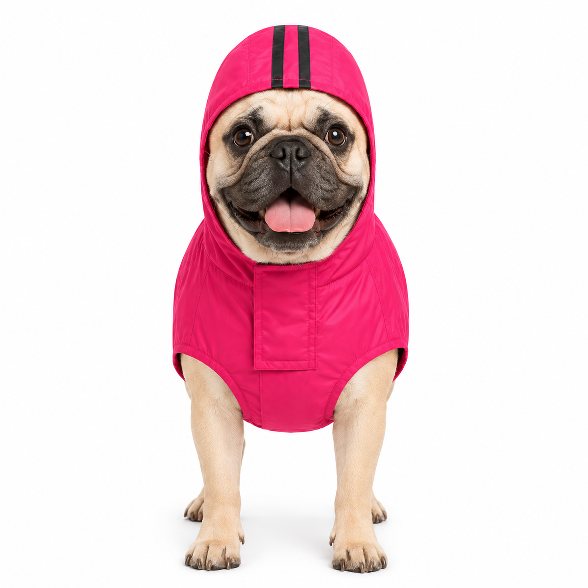 Canes Venatici Raincoat - Pink