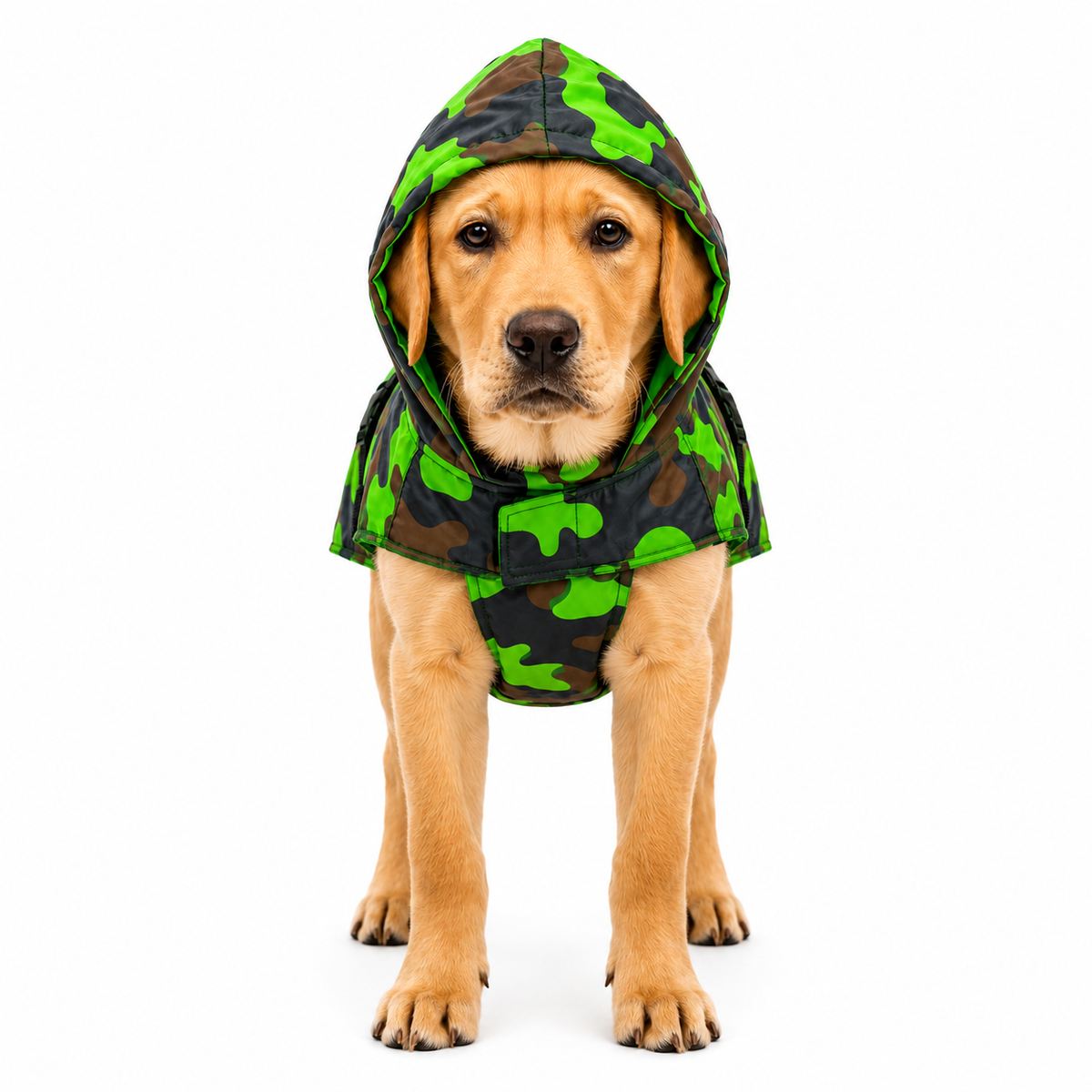 Kennel Army Raincoat