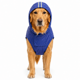 Canes Venatici New Raincoat (colors may vary)