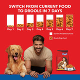 Drools Puppy Nutrition - Chicken And Egg