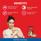 Drools Chicken And Egg Puppy Nutrition Dry Food (20 Kg+1 Kg Free Inside)