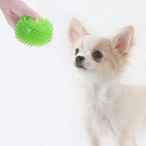 Petropolis Hard Spike Ball Toy For Dogs