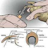 Petropolis Nail Cutter With Filer Dog & Cat
