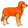 Canes Venatici Raincoat - Orange