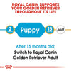 Royal Canin Golden Retriever Puppy Dry Food