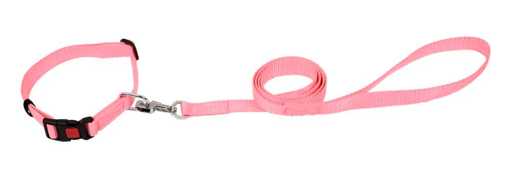 Kennel Soft Nylon Adjustable Click Lock Collar and Leash Set (1")