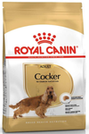 Royal Canin Cocker Spaniel Adult Dog Dry Food