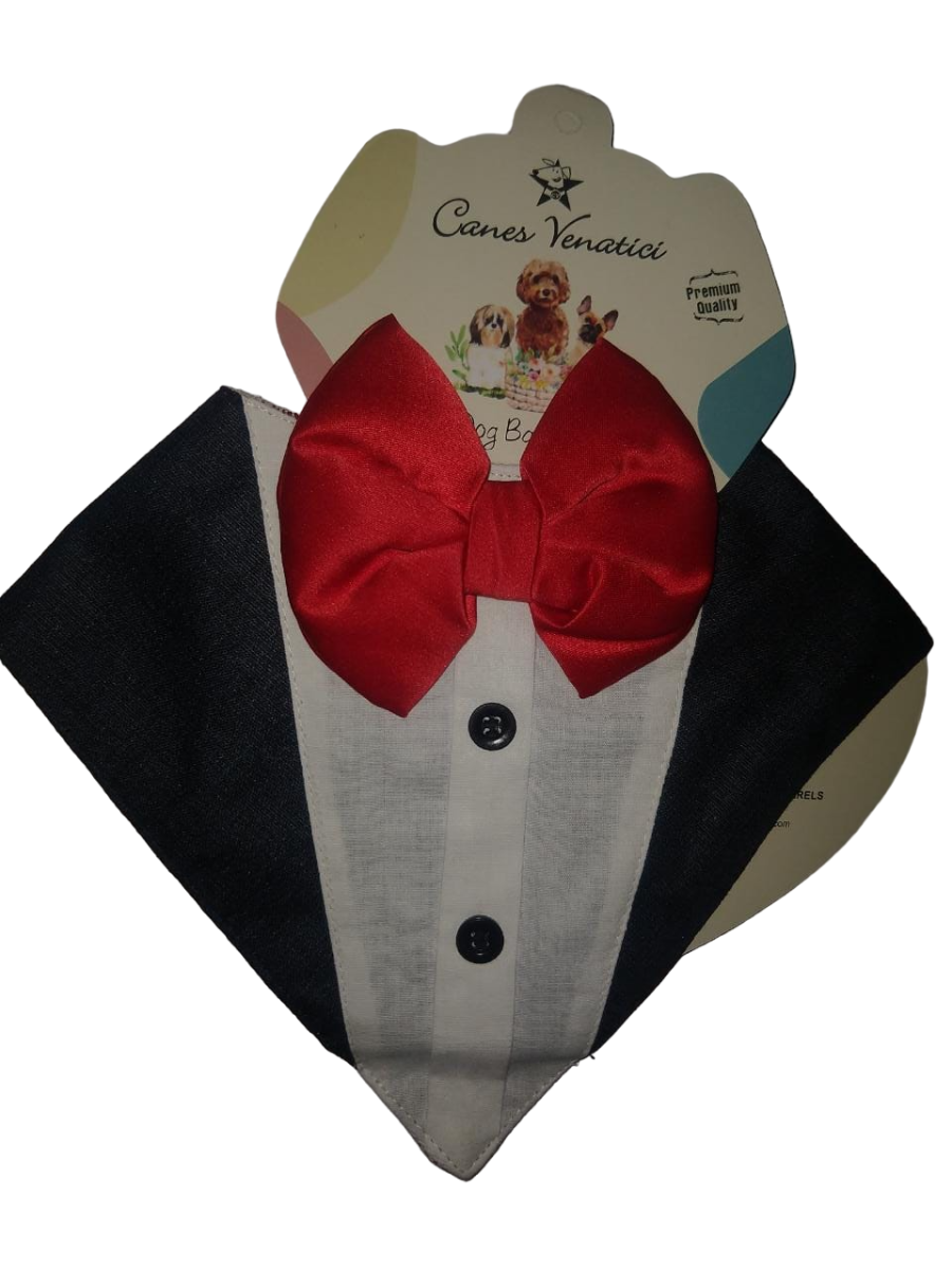 Canes Venatici Bandanas