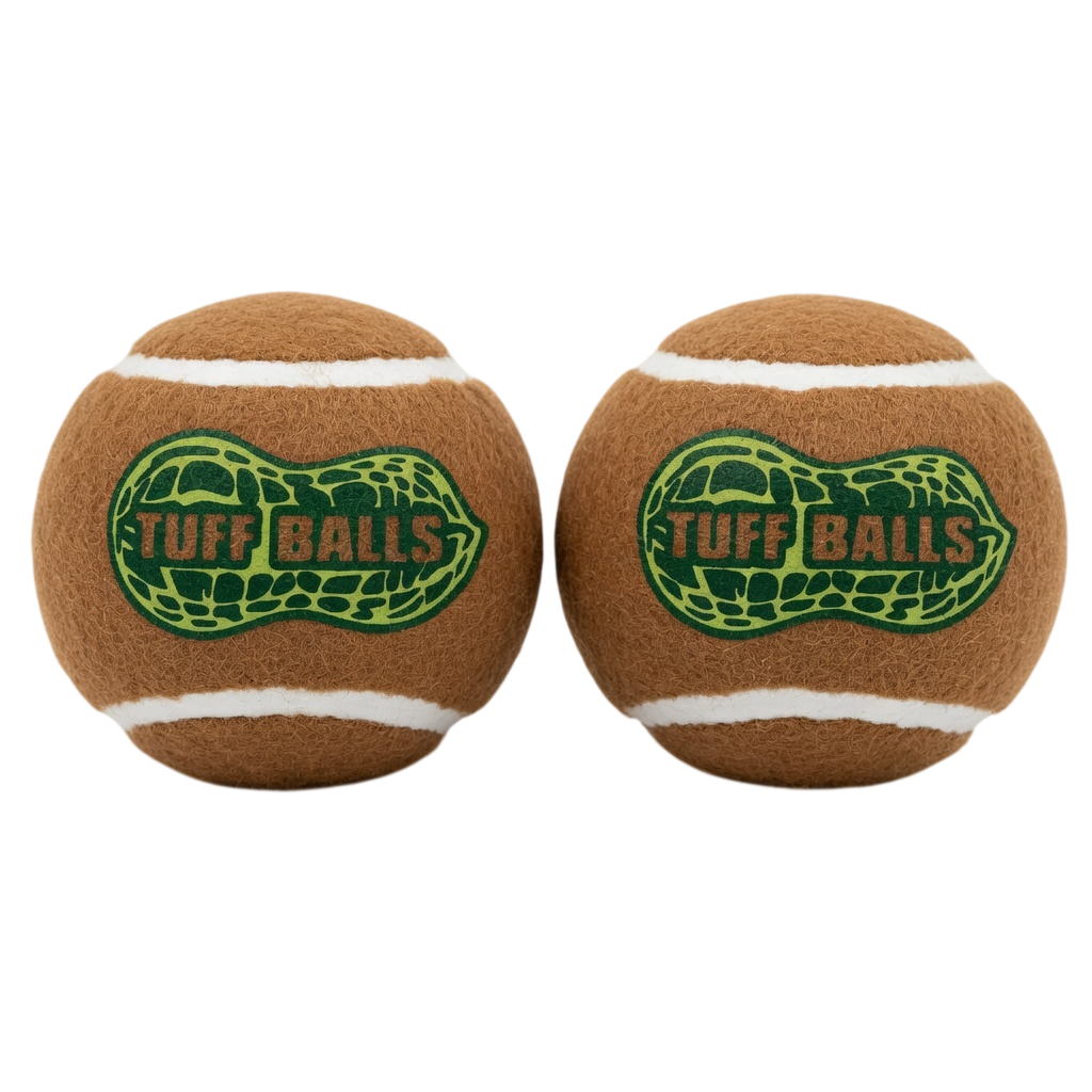 Petsport Fetch Me Fido Tuff Ball Dog Toy