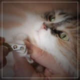 Wahl Nail Scissor For Cat