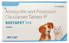Skyec Beetapet 375 Amoxycillin & Clavulanate Tablets for Dogs & Cats