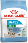 Royal Canin Mini Starter Mother & Baby Dog Dry Food