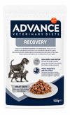 Affinity Veterinary Diets Recovery Wet Food For Dogs & Cats