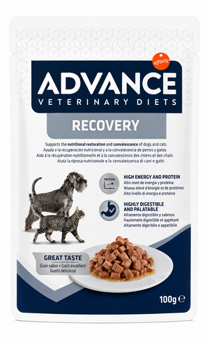 Affinity Veterinary Diets Recovery Wet Food For Dogs & Cats
