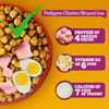 Pedigree Chicken Biryani Flavour Adult Dog Dry Food