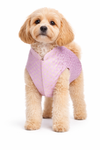 Petex Sherwani For Dogs