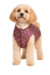Petex Sherwani For Dogs