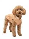 Petex Sherwani For Dogs