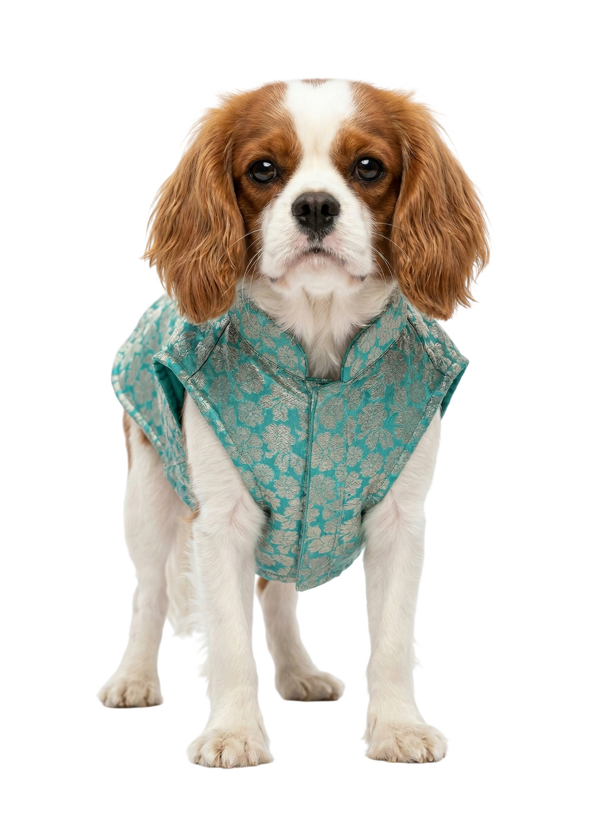 Petex Sherwani For Dogs