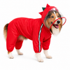 Puppy Love Raincoat (Pattern May Vary)