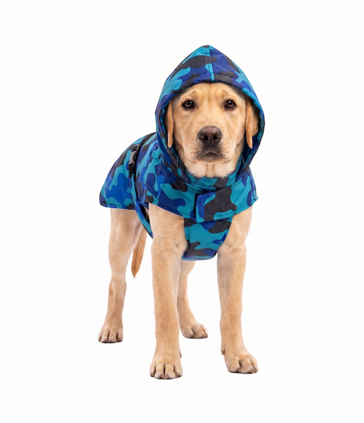 Kennel Printed Color Raincoat - Blue