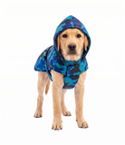 Kennel Printed Color Raincoat - Blue